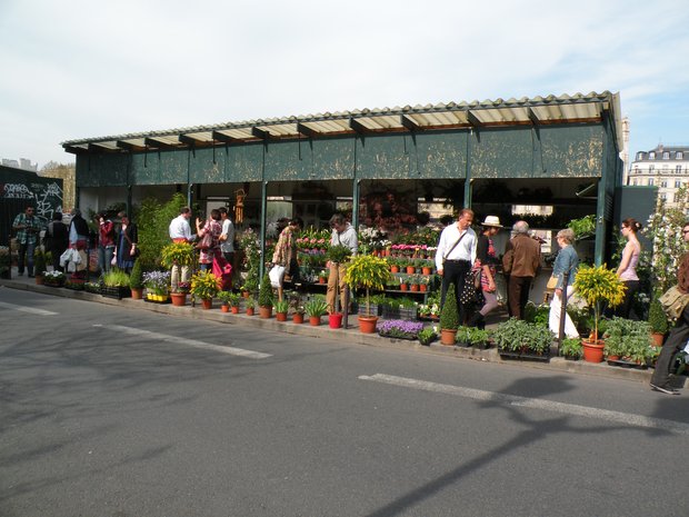  vente de fleurs sur les quais de la Seine